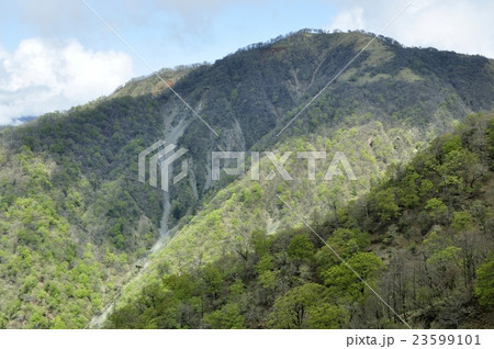 陽射しさす不動ノ峰 陽射しさす不動ノ峰 23599101