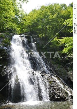 雷滝 雷滝 23599166