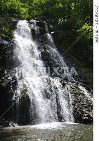 雷滝 雷滝 23599167