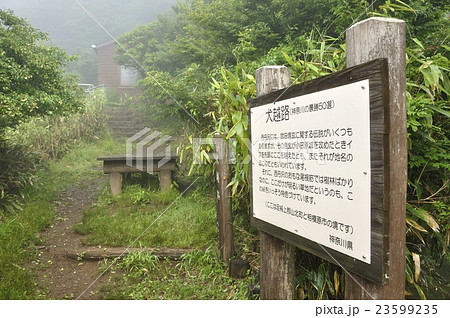 かながわの景勝50選 犬越路 23599235