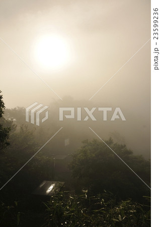 朝日忽然 朝日忽然 23599236