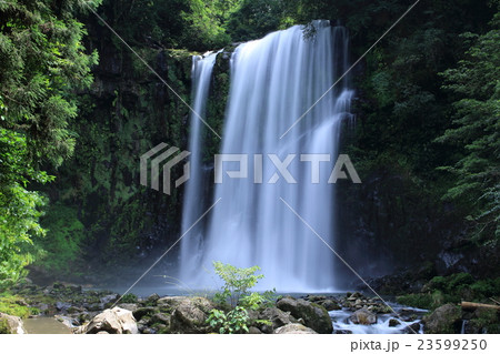 桜滝Ⅱ 桜滝Ⅱ 23599250