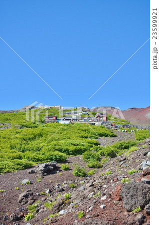 吉田ルートで山頂を見上げる 23599921