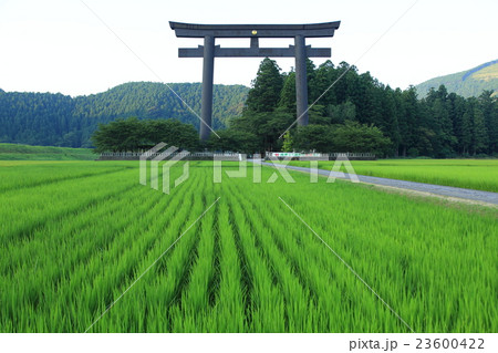熊野本宮大社大鳥居 23600422