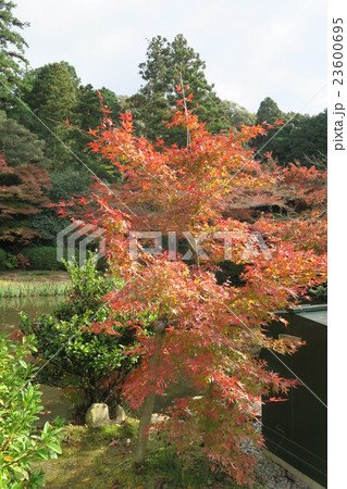 長岳寺 長岳寺 23600695