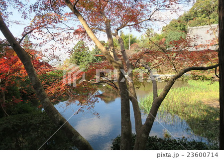 長岳寺 長岳寺 23600714