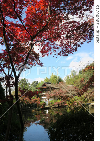 長岳寺 23600715