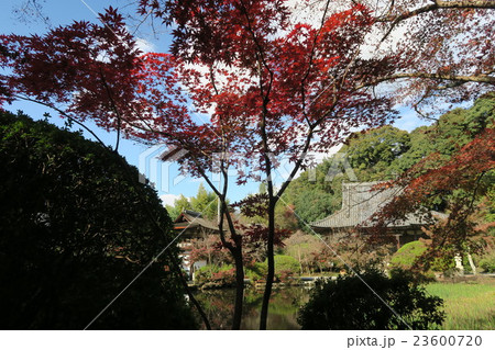 長岳寺 長岳寺 23600720