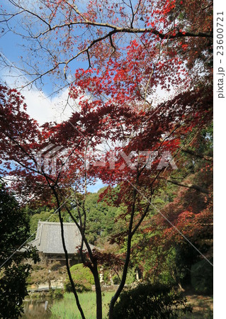 長岳寺 長岳寺 23600721