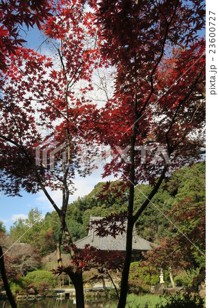 長岳寺 長岳寺 23600727
