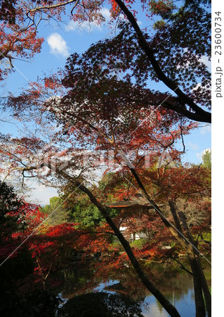 長岳寺 23600734