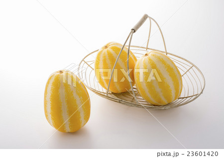 マッカウリ マッカウリ 23601420