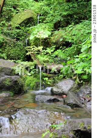 湧き水 湧き水 23601538