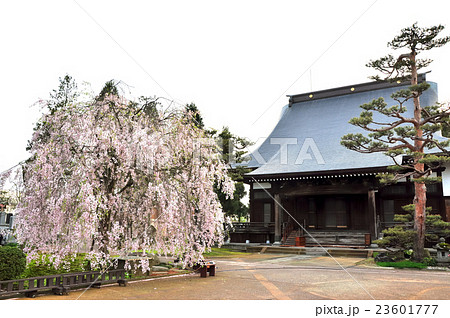 光福寺：長岡藩本陣 23601777