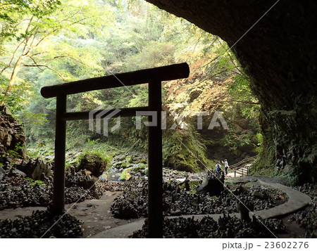 天岩戸神社 天安河原 天岩戸神社 天安河原 23602276