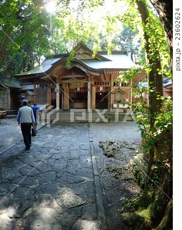 高千穂神社 高千穂神社 23602624