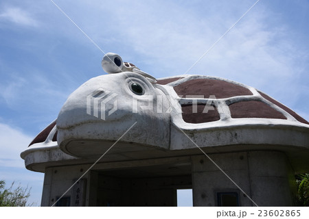 親ガメと子ガメ 親ガメと子ガメ 23602865