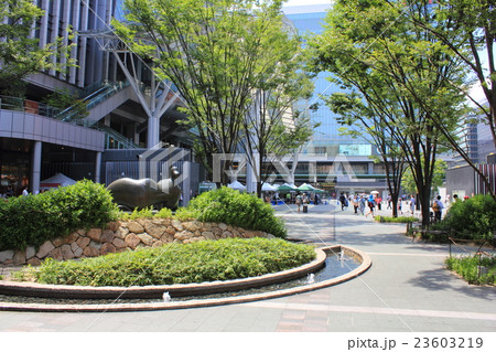 JR博多シティ JR博多シティ 23603219