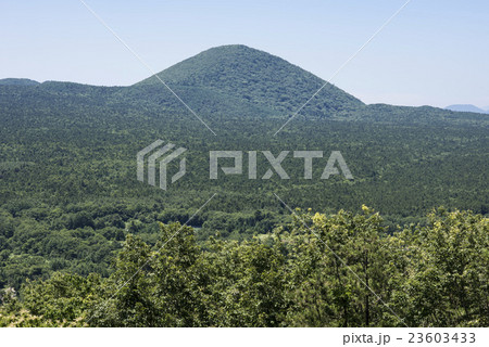大室山と青木ヶ原樹海 大室山と青木ヶ原樹海 23603433