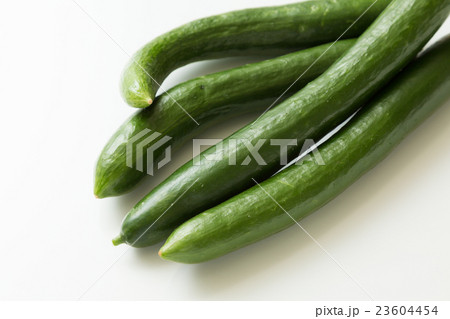 きゅうり　白バック 23604454