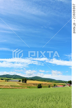 北海道の夏風景 23606907