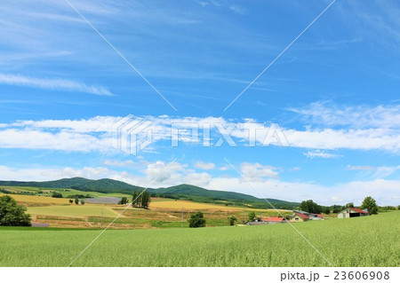 北海道の夏風景 23606908