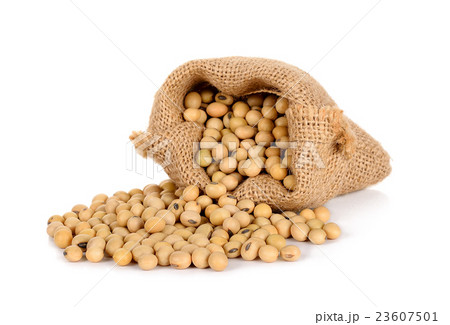 Soy bean with sack isolated on white background Soy bean with sack isolated on white background 23607501