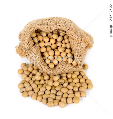Soy bean with sack isolated on white background 23607502