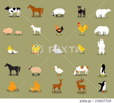 Vector Set Of Different Flat Farm Animals. 23607728