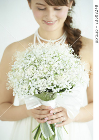 ウェディング ウェディング 23608249