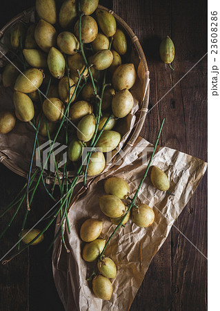 Baccaurea ramiflora Baccaurea ramiflora 23608286