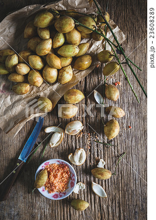 Baccaurea ramiflora 23608289