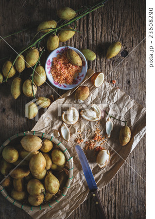 Baccaurea ramiflora 23608290