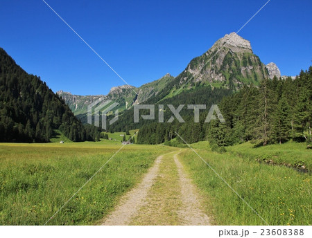 Trail in the Oberseetal and Mt Brunnelistock 23608388
