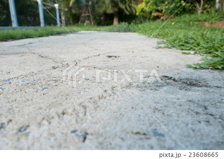Weeds growing through an old stone path. 23608665