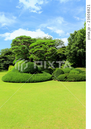 戸定邸庭園(7月)千葉県松戸市 戸定邸庭園(7月)千葉県松戸市 23608821
