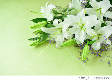 白ゆりの花束 23609459