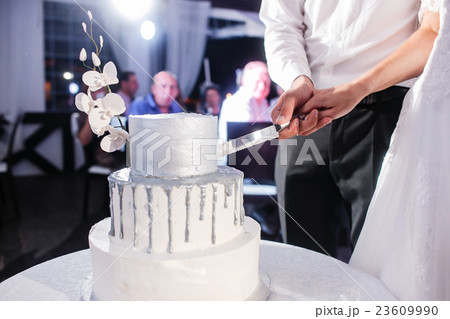 Bride and Groom at Wedding Reception Cutting the 23609990