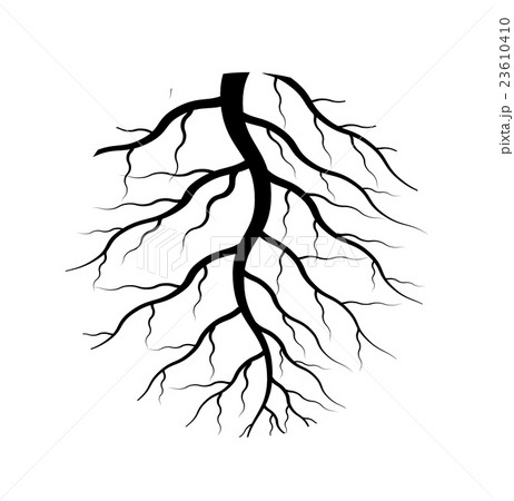 vector of roots 23610410