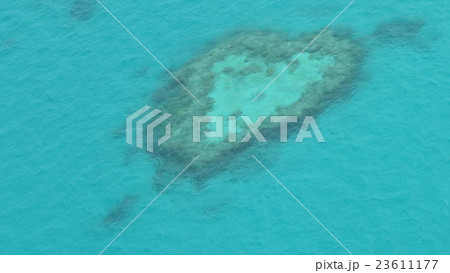 ハートリーフ 23611177