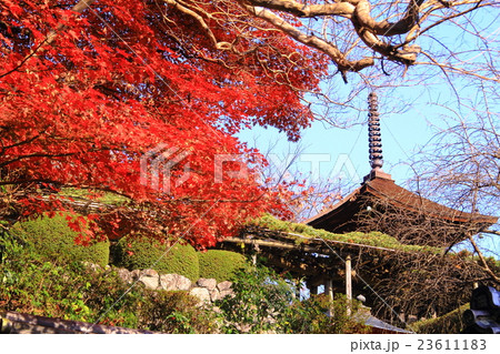 善峯寺（京都）境内の紅葉 23611183