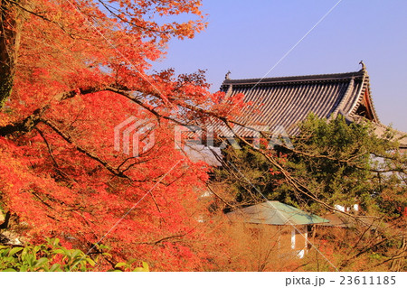 善峯寺（京都）境内の紅葉 23611185