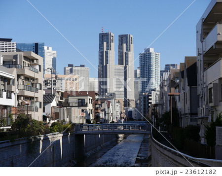 神田川から望む都庁 23612182