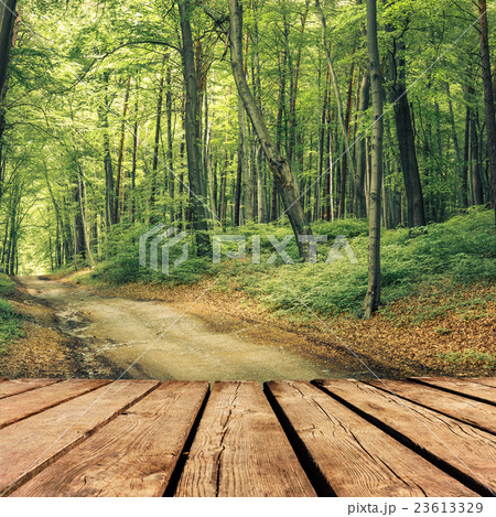 autumn forest and brown wooden deck table 23613329