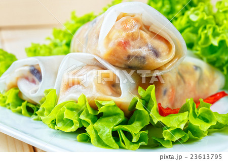 spring rolls 23613795