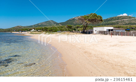 beautiful blue sea and beach  in Porto Conte 23615461