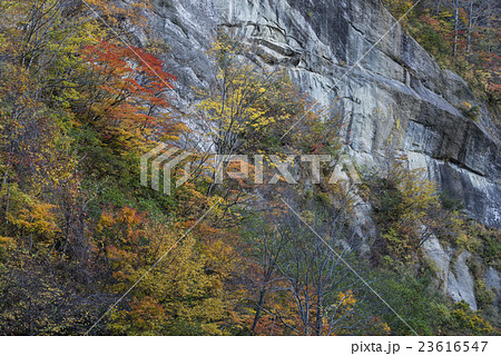 奥裾花渓谷の紅葉と露頭 23616547