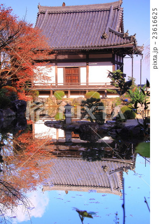 善峯寺(京都)境内の紅葉 善峯寺(京都)境内の紅葉 23616625