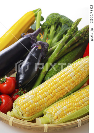 夏野菜の集合イメージ 23617332