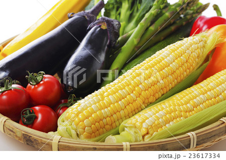 夏野菜の集合イメージ 23617334
